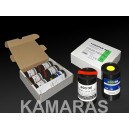 FOMAPAN 400 x6 Set 35mm 36