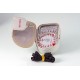 Ligth meter Weston Mod. 748 Master V