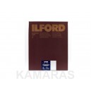 Ilford WARMTONE RC 44M 24x30/10 hojas 