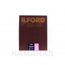 Ilford WARMTONE RC 1M 24x30/10 hojas 