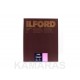 Ilford WARMTONE RC 1M 24x30/10 hojas 
